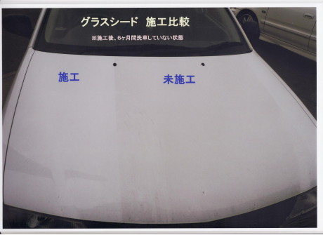 漆面镀晶