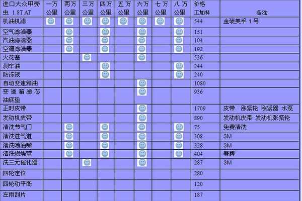 进口大众甲壳虫保养周期